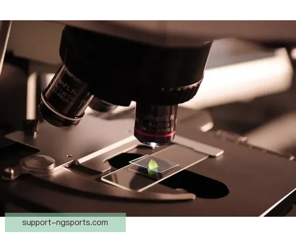 图卢兹俱乐部发布最新动态聚焦新赛季规划与引援方向战略调整与青年培养布局