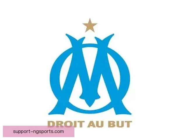 德甲劲旅拜耳勒沃库森俱乐部辉煌历程与未来发展全景解析战略布局