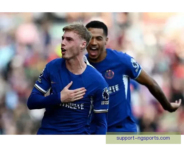 伯恩利足球俱乐部的崛起与挑战：英超新军的奋斗之路