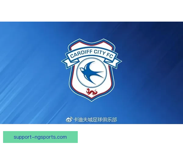 卡迪夫城足球俱乐部发展历程与未来战略全景解析